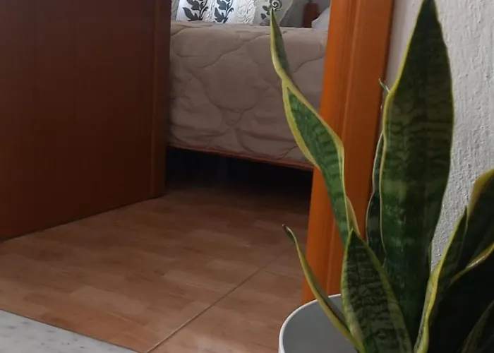 P&k 波格拉德茨